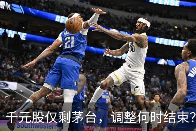 千元股仅剩茅台，调整何时结束？