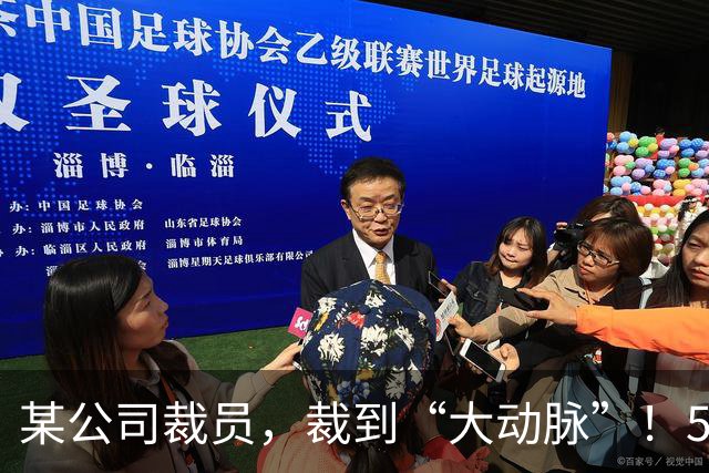某公司裁员，裁到“大动脉”！5000 社保不肯给员工，转头得拿 8 万求员工私了！