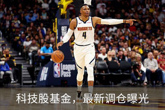科技股基金，最新调仓曝光