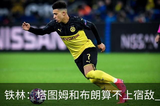铁林：塔图姆&布朗算不上宿敌 两人交手后可能只是绅士拥抱
